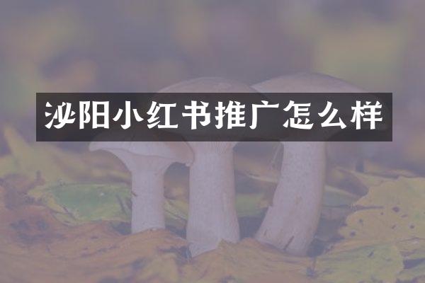 泌阳小红书推广怎么样