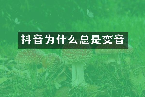抖音为什么总是变音
