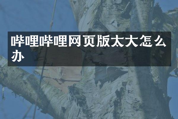 哔哩哔哩网页版太大怎么办