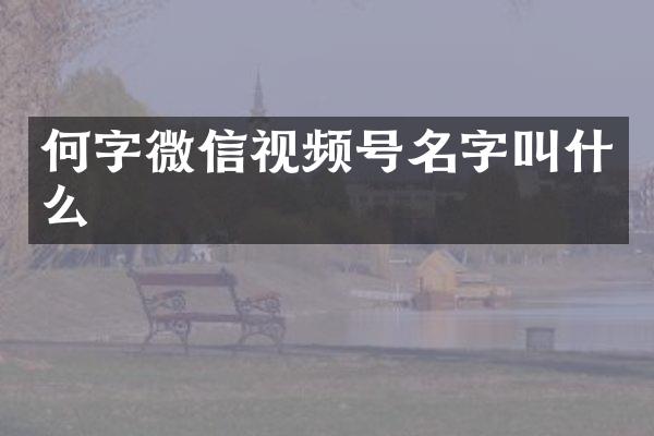 何字微信视频号名字叫什么