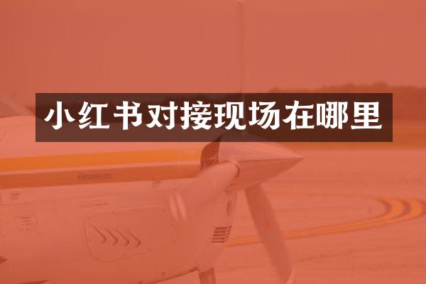 小红书对接现场在哪里