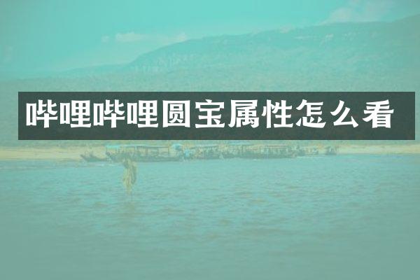 哔哩哔哩圆宝属性怎么看