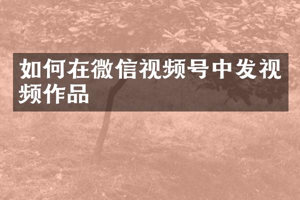 如何在微信视频号中发视频作品