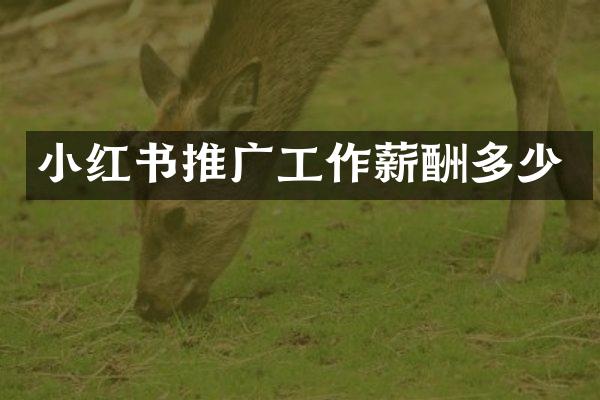 小红书推广工作薪酬多少