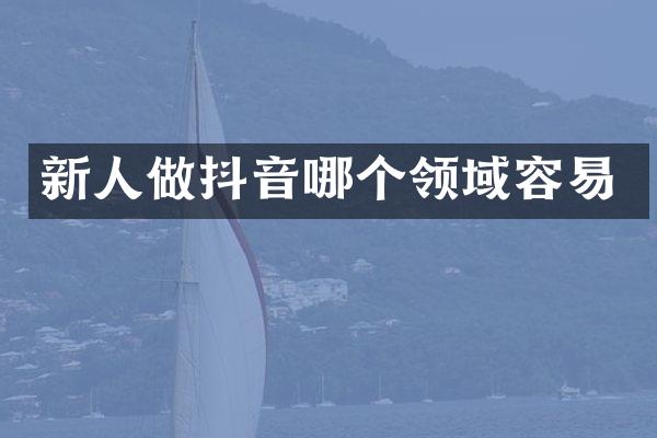 新人做抖音哪个领域容易