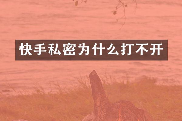 快手私密为什么打不开