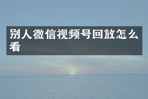 别人微信视频号回放怎么看