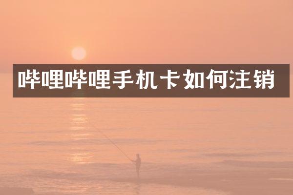 哔哩哔哩如何注销