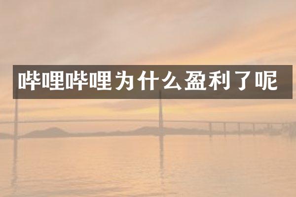 哔哩哔哩为什么盈利了呢