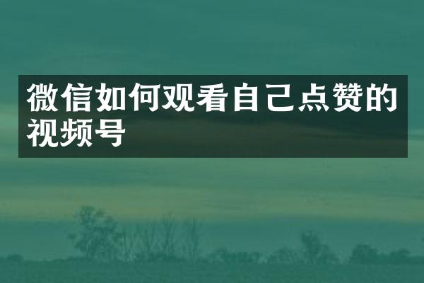 微信如何观看自己点赞的视频号