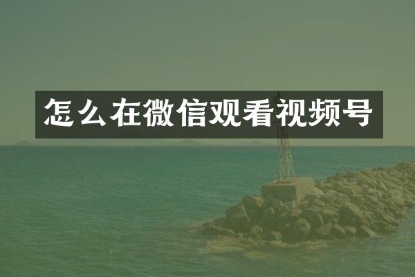 怎么在微信观看视频号