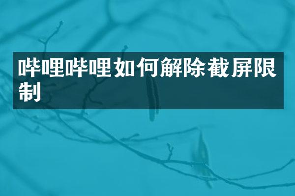 哔哩哔哩如何解除截屏限制