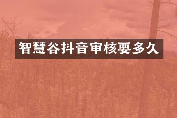智慧谷抖音审核要多久