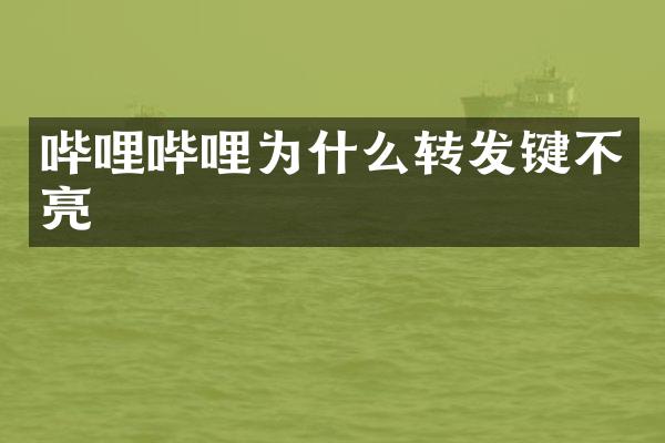 哔哩哔哩为什么转发键不亮