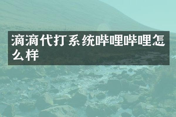 滴滴代打系统哔哩哔哩怎么样