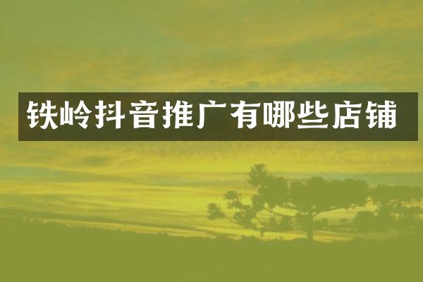 铁岭抖音推广有哪些店铺