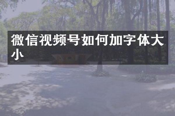 微信视频号如何加字体大小