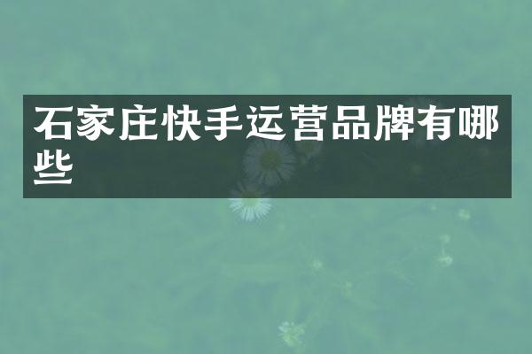 石家庄快手运营品牌有哪些