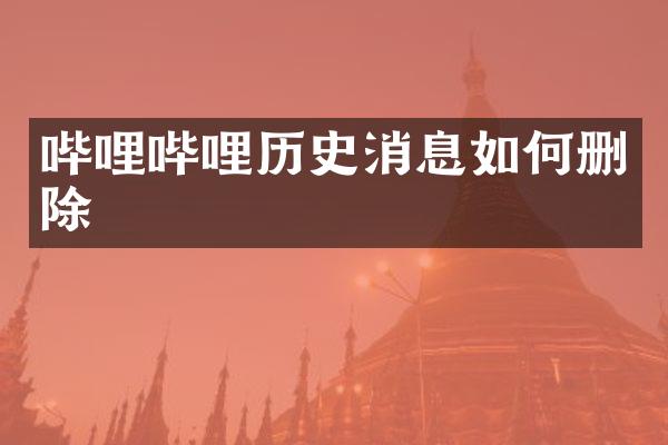 哔哩哔哩历史消息如何删除
