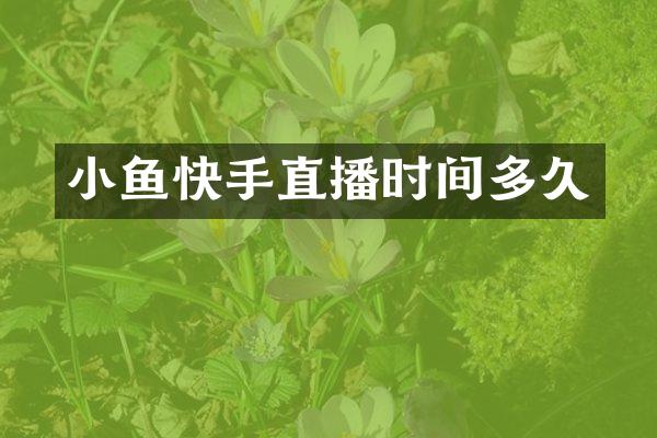 小鱼快手直播时间多久