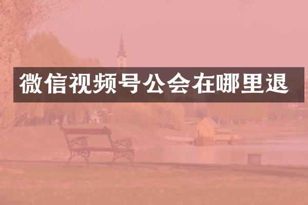 微信视频号公会在哪里退