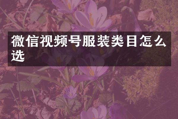 微信视频号服装类目怎么选