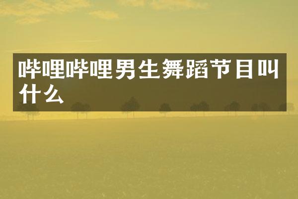 哔哩哔哩男生舞蹈节目叫什么