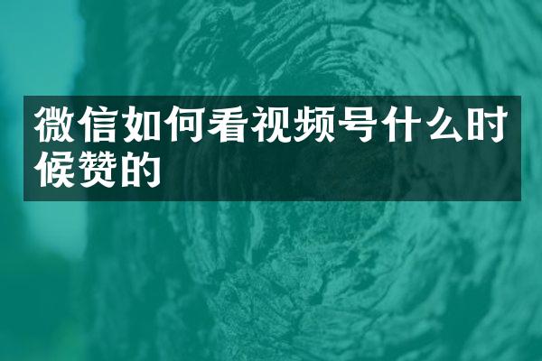 微信如何看视频号什么时候赞的