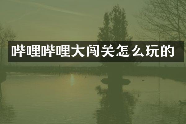 哔哩哔哩大闯关怎么玩的