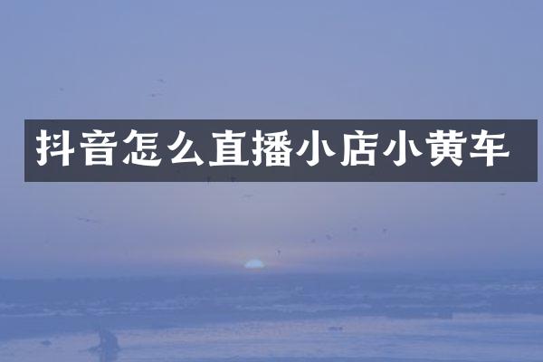 抖音怎么直播小店小黄车