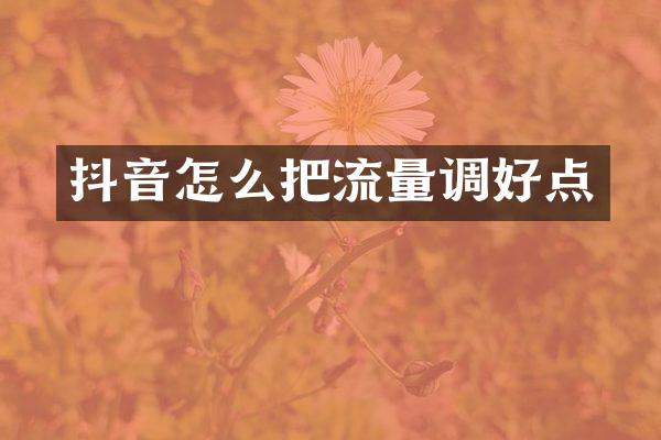 抖音怎么把流量调好点