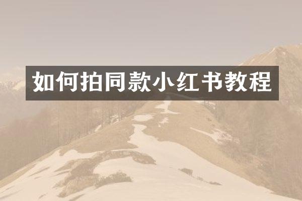 如何拍同款小红书教程