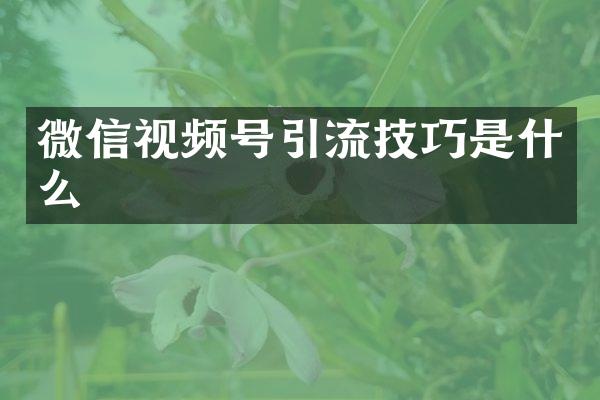 微信视频号引流技巧是什么