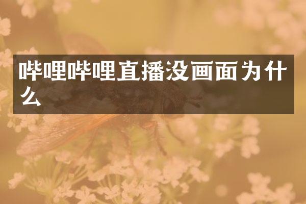 哔哩哔哩直播没画面为什么