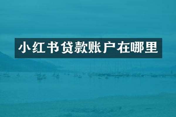 小红书贷款账户在哪里