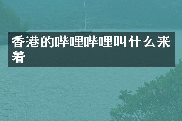香港的哔哩哔哩叫什么来着
