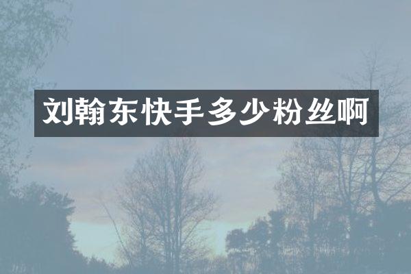 刘翰东快手多少粉丝啊