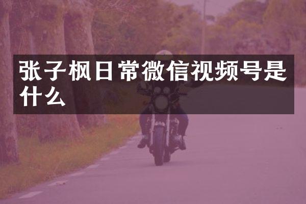 张子枫日常微信视频号是什么