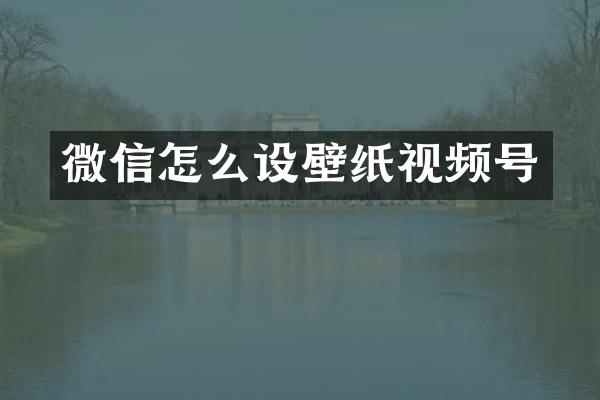 微信怎么设壁纸视频号