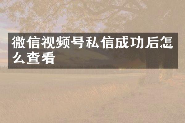 微信视频号私信成功后怎么查看