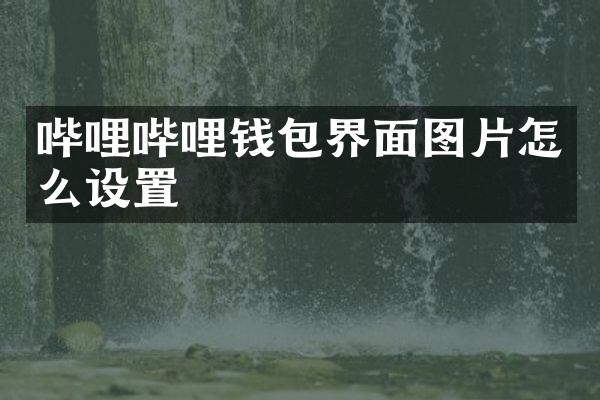 哔哩哔哩钱包界面图片怎么设置