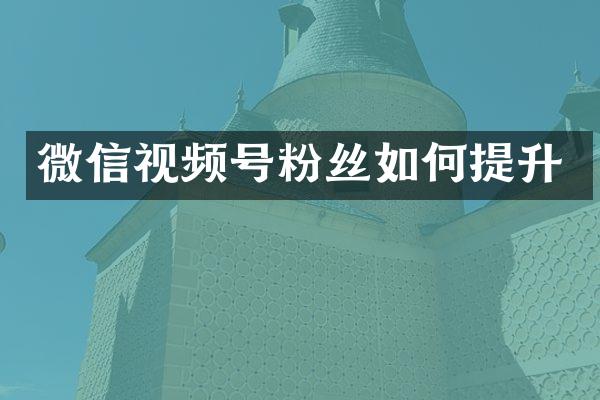 微信视频号粉丝如何提升