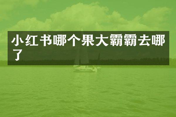 小红书哪个果大霸霸去哪了