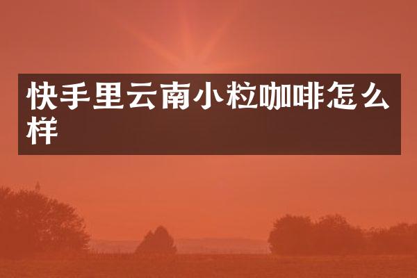 快手里云南小粒咖啡怎么样