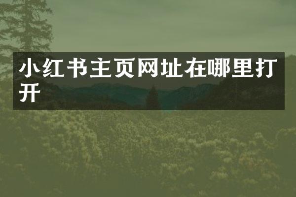 小红书主页网址在哪里打开