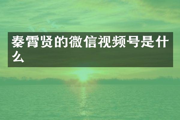 秦霄贤的微信视频号是什么