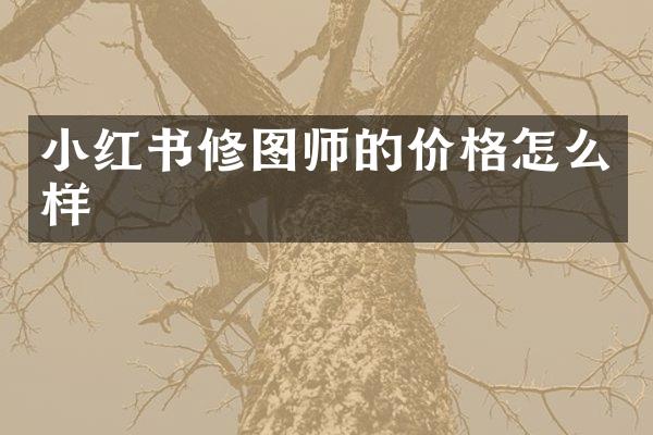 小红书修图师的价格怎么样