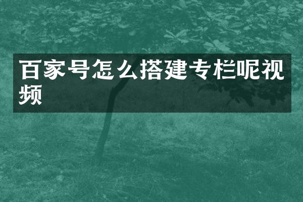 百家号怎么搭建专栏呢视频