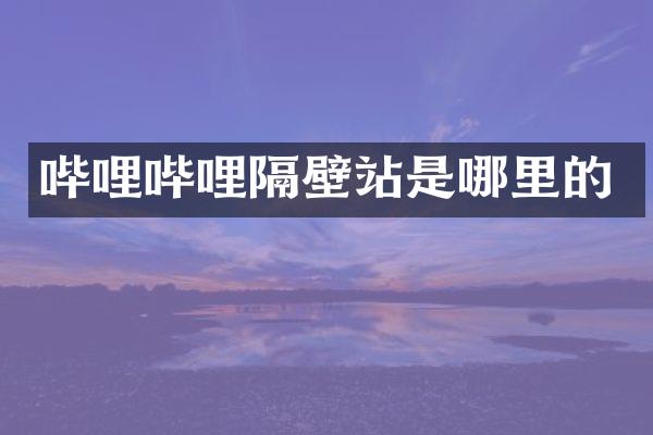 哔哩哔哩隔壁站是哪里的