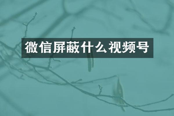 微信屏蔽什么视频号